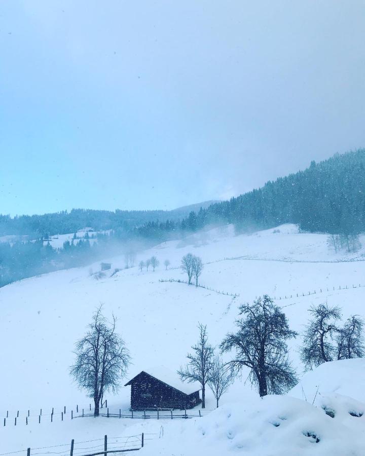 Bio Schartenhof Sankt Johann im Pongau Eksteriør bilde